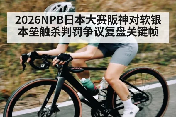2026NPB日本大赛阪神对软银本垒触杀判罚争议复盘关键帧